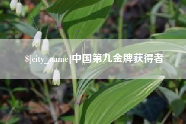 福安中国第九金牌获得者
