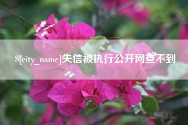 福安失信被执行公开网查不到