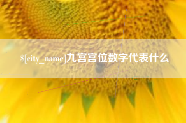 福安九宫宫位数字代表什么