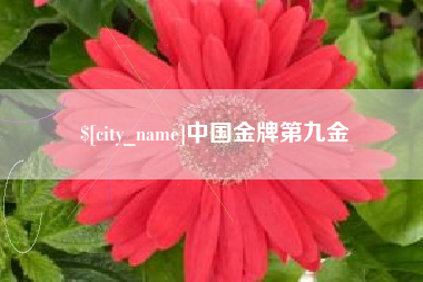 福安中国金牌第九金