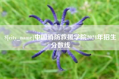 福安中国消防救援学院2024年招生分数线
