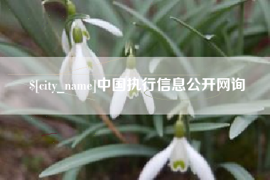 福安中国执行信息公开网询