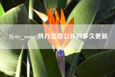 福安执行信息公开网多久更新