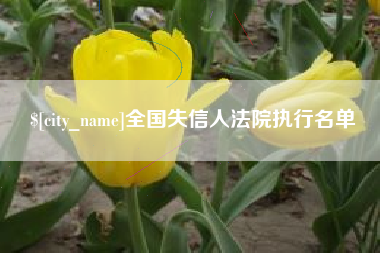 福安全国失信人法院执行名单