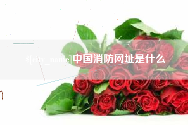 福安中国消防网址是什么