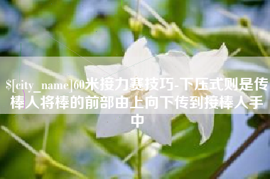 福安60米接力赛技巧-下压式则是传棒人将棒的前部由上向下传到接棒人手中