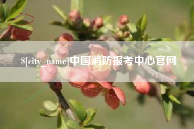 福安中国消防报考中心官网
