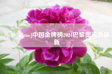 福安中国金牌榜2024巴黎奥运会最新