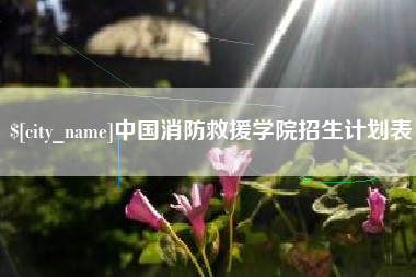 福安中国消防救援学院招生计划表