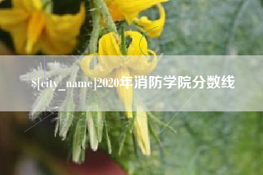 福安2020年消防学院分数线