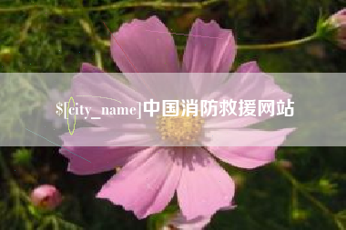 福安中国消防救援网站