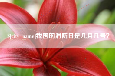 福安我国的消防日是几月几号？