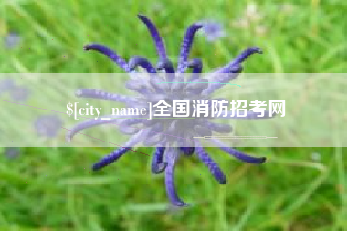 福安全国消防招考网