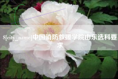福安中国消防救援学院山东选科要求