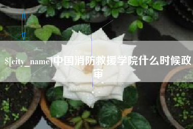 福安中国消防救援学院什么时候政审