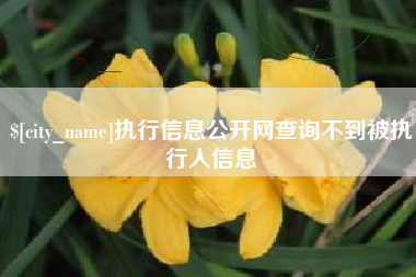 福安执行信息公开网查询不到被执行人信息