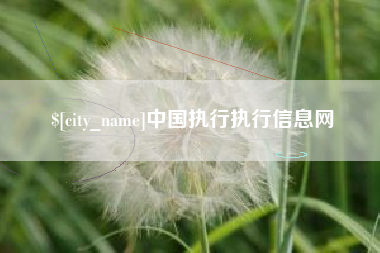 福安中国执行执行信息网