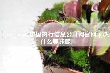 福安中国执行信息公开网官网app为什么要钱呢