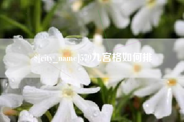 福安579九宫格如何排