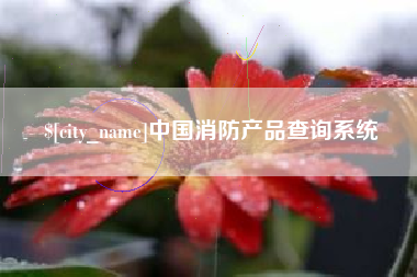 福安中国消防产品查询系统