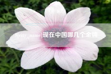 福安现在中国哪几个金牌