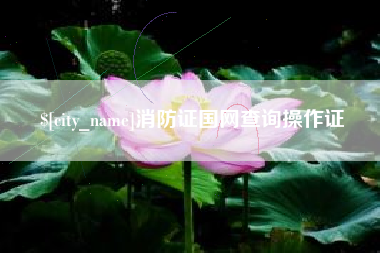 福安消防证国网查询操作证