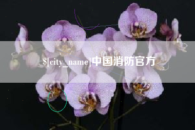 福安中国消防官方