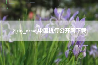 福安中国执行公开网下载