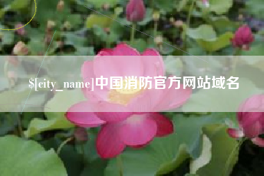 福安中国消防官方网站域名