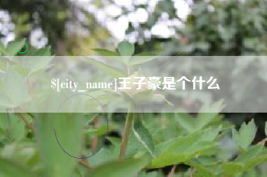 福安王子豪是个什么