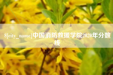 福安中国消防救援学院2020年分数线