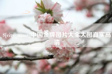 福安中国金牌图片大全大图真实高清