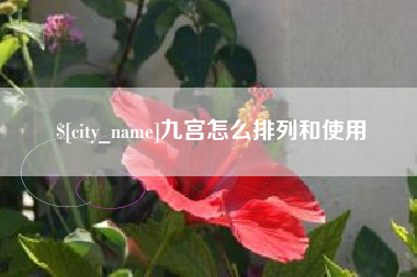 福安九宫怎么排列和使用