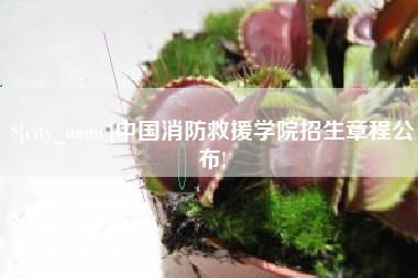 福安中国消防救援学院招生章程公布!