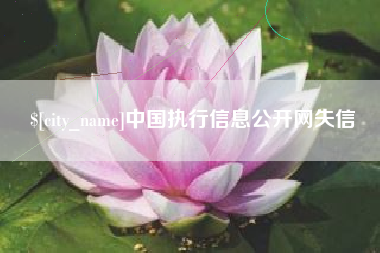 福安中国执行信息公开网失信