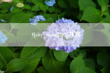 福安2022九宫