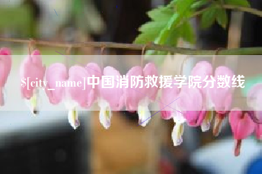 福安中国消防救援学院分数线