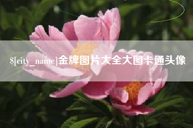 福安金牌图片大全大图卡通头像