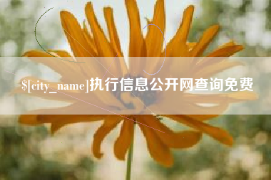 福安执行信息公开网查询免费