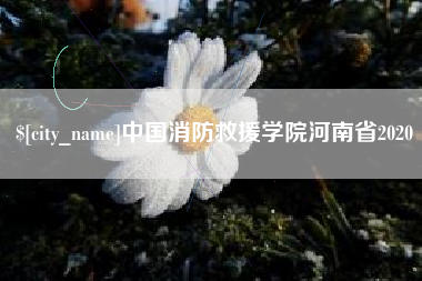 福安中国消防救援学院河南省2020